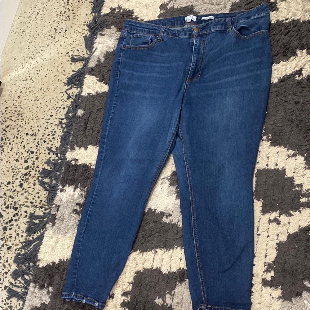 True Craft Blue Skinny Jeans
